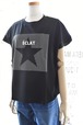 le chanter(ルシャンテ) 25S/S スターストライプロゴTシャツ