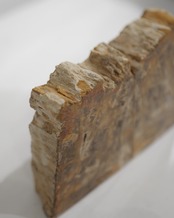 OAK Petrified Wood - Book End #007 ：Natural｜珪化木／一点もの／静かな重み