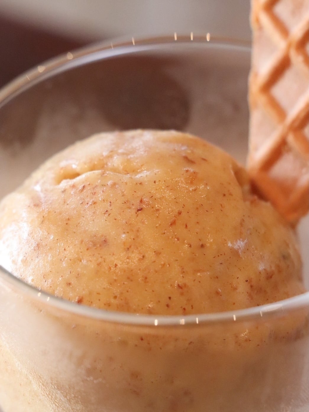 季節感じるプレミアム5個セット