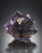 フローライト / カルサイト / キャルコパイライト【Chalcopyrite in Fluorite with Calcite】アメリカ産