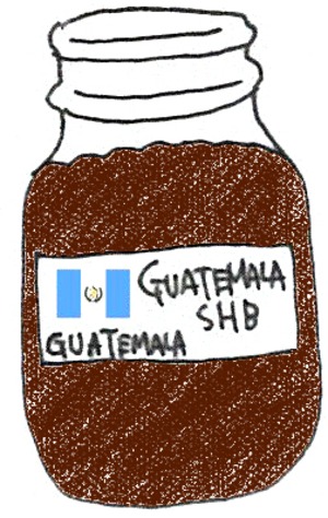 GUATEMALA (中深煎り) グァテマラ サンタフェリサ農園 100g