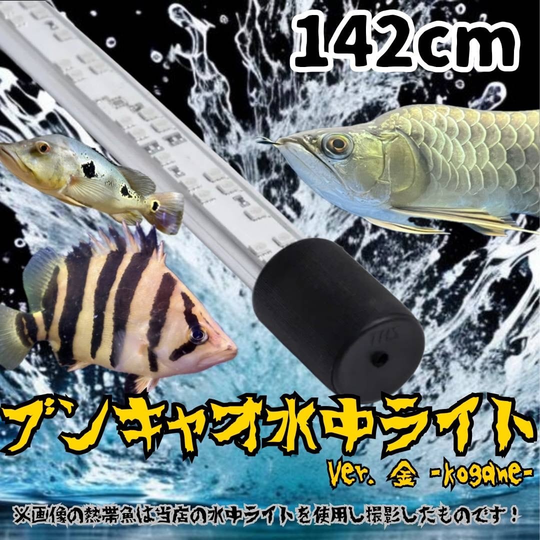 ブンキャオ1800 水中ライト ALL ITEM | 総合ペット(鑑賞魚、両生類、爬虫類、小動物) 買取販売店