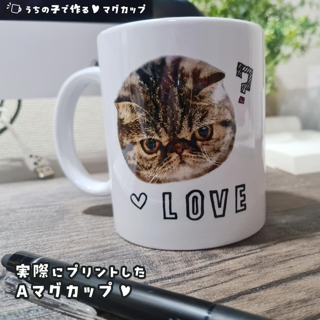 子供やペットの写真で作るマグカップ｜プレゼントとして大人気♪