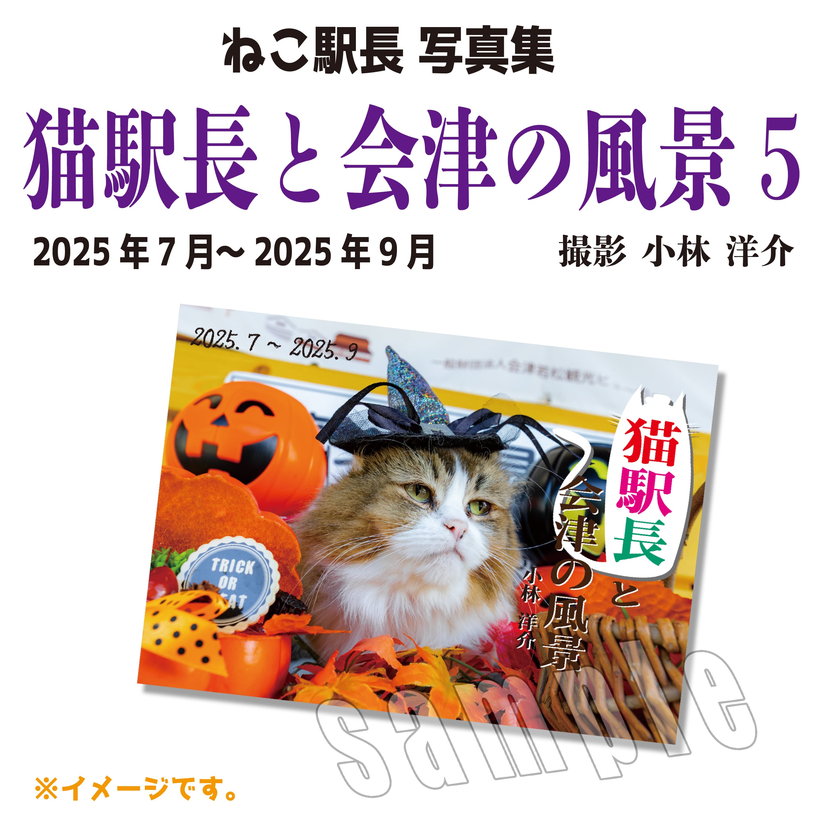 写真集 | Station Master Cat