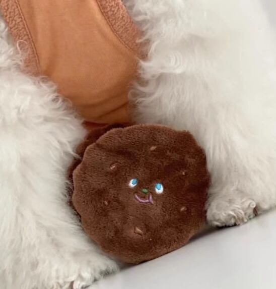 ドッグ 犬 小型犬 おもちゃ トイ トリーツトイ ペット用玩具 運動不足対策 カラフル スナック ふわふわ 3D 食品風 クッキー かわいい シンプル カジュアル おしゃれ レトロ ボーイッシュ スポーティー 個性的 ラブリー キュート シンプル オールシーズン ロングシーズン シーズンレス 男の子 女の子 成犬 子ども ベビー 子犬 赤ちゃん お泊まり 休日 室内 おうち プレイタイム プレゼント 普段使い インスタ映え
