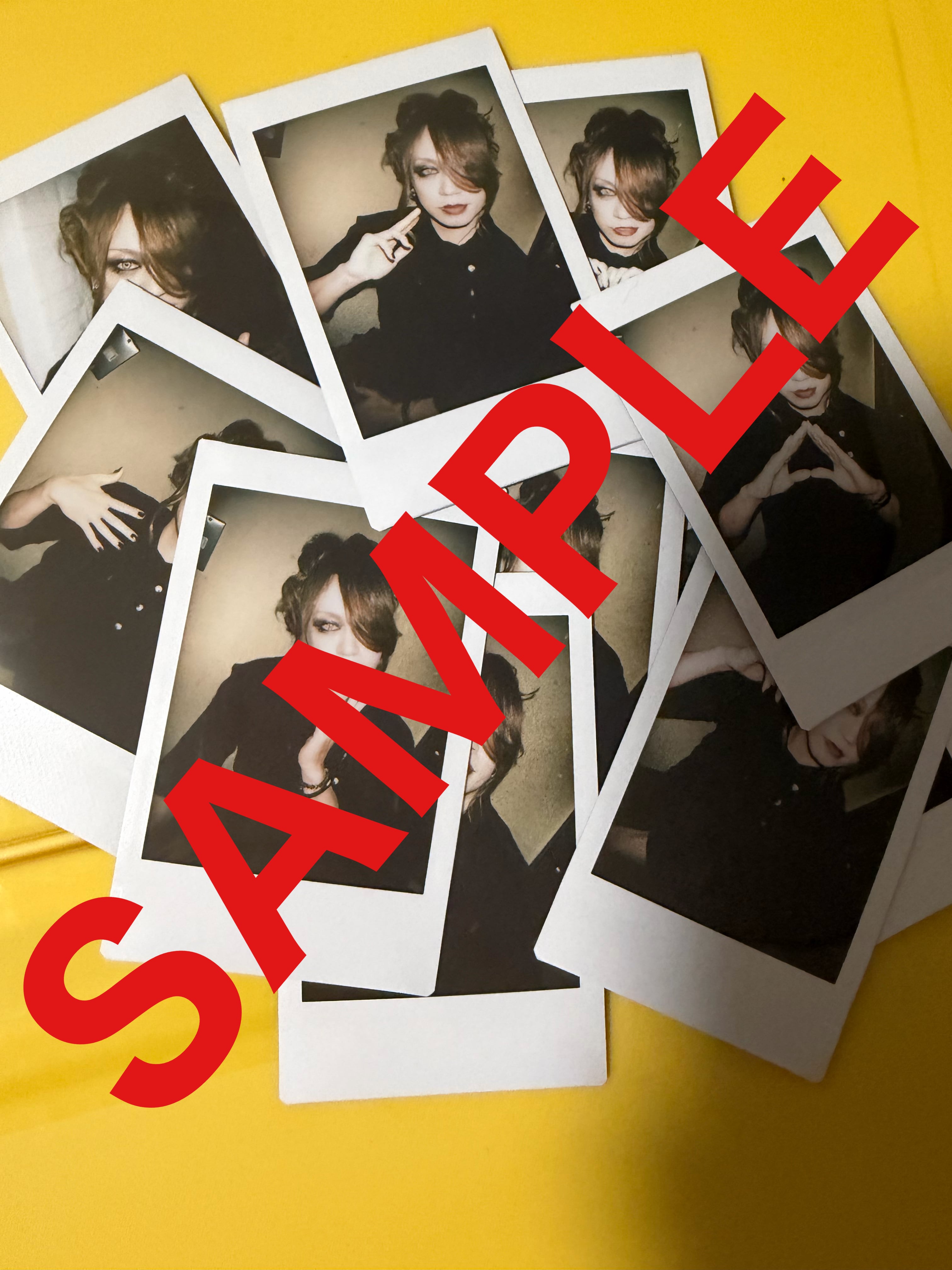 NEMOPHILA 初回限定盤 | NAZARE official GOODS SHOP