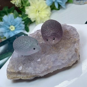 ハリネズミさんが住み着いついている☆ヤオガンシャン産・パープルフローライト原石