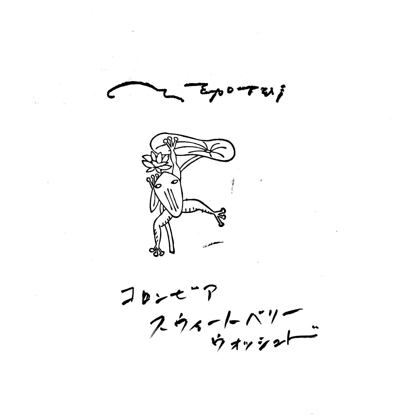 コロンビア スウィートベリーウォッシュド