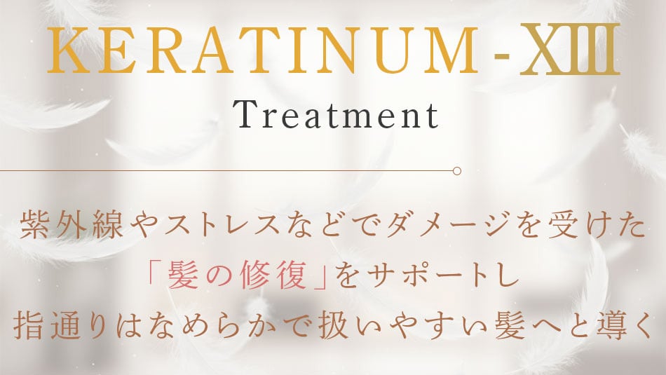 HRPトリートメント／HRP Treatment　詰め替え用2個セット