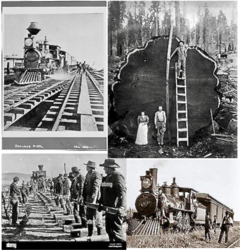 Baboushka (バブーシュカ) The Wild West Railwaycaster 大陸横断鉄道 枕木ボディ 商品画像 20