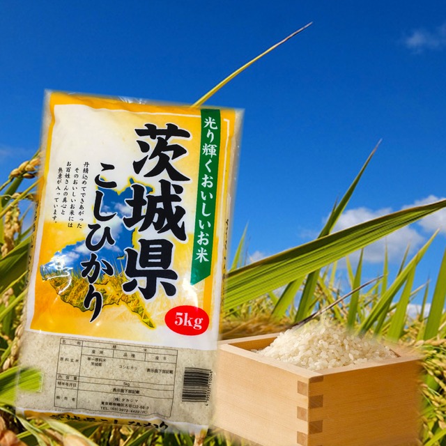 茨城県産 コシヒカリ 5kg×6 | 株式会社 タカシマ
