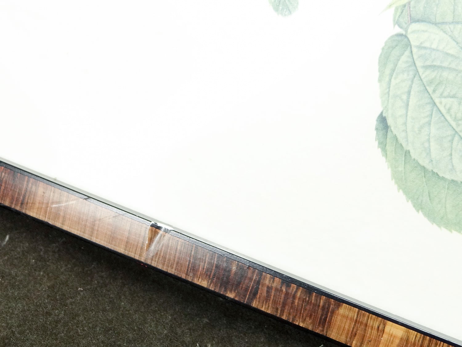 Vintage】ピエール＝ジョゼフ・ルドゥーテ 植物画 バラ Rosa