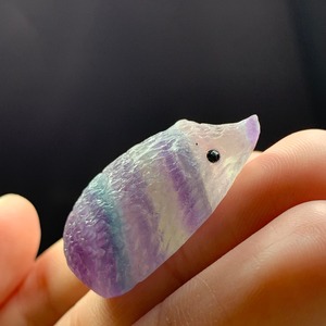 75お鼻が可愛いフローライトハリネズミさん