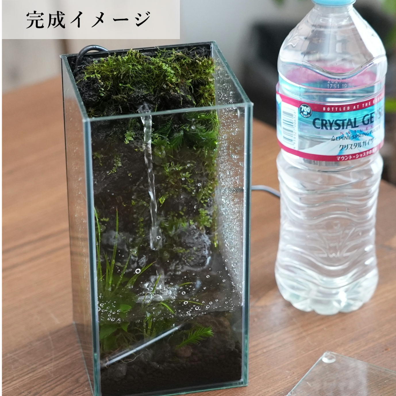 はるちゃんさん専用　アクアテラリウム　滝　苔 Making a Aquaterrarium with fall and mist 〜滝と霧のアクア