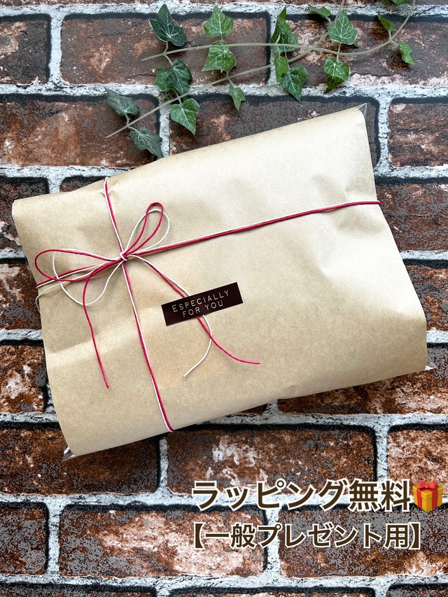 黒猫サコッシュ【黒猫×薔薇の花】