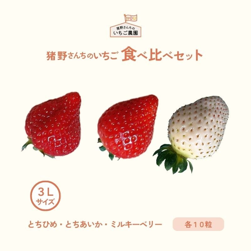 とちあいか（DXサイズ 6粒入り×2P） | 猪野さんちのいちご農園｜産直