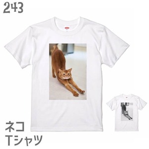 ネコTシャツ＃15　「フォトT 伸び」