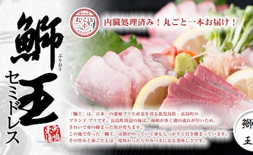 鰤王まるごと1本豪華4,500ｇ（お刺身用）