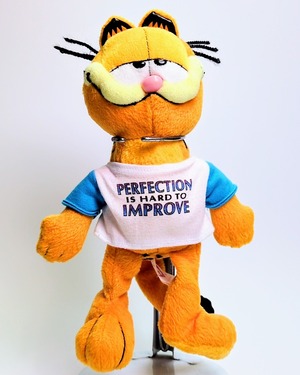 ☆ VINTAGE ☆【 Garfield ( ガーフィールド ) 】 ぬいぐるみ プラッシュ plush 2007年製 “ PERFECTION IS HARD TO IMPROVE ” ビンテージ 〚アメリカン雑貨 アメトイ〛