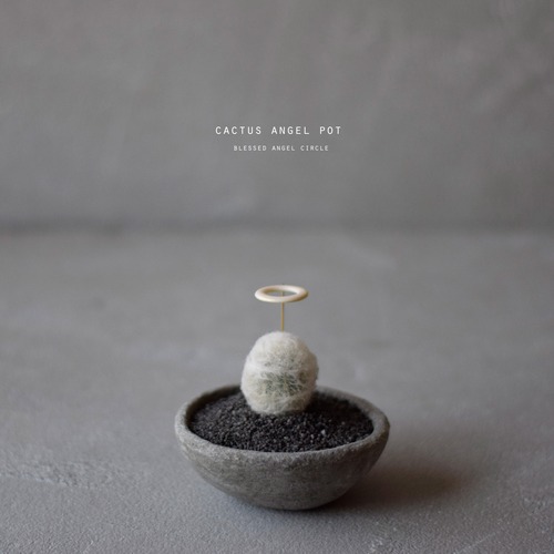 サボテン天使の器(サボテン・デボスキー)