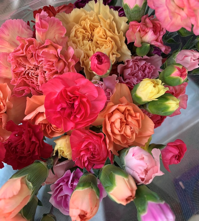 わくわくボックス「ホーム」(2人用)