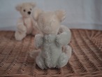 Vintage Mohair twin teddy bears (Boy)