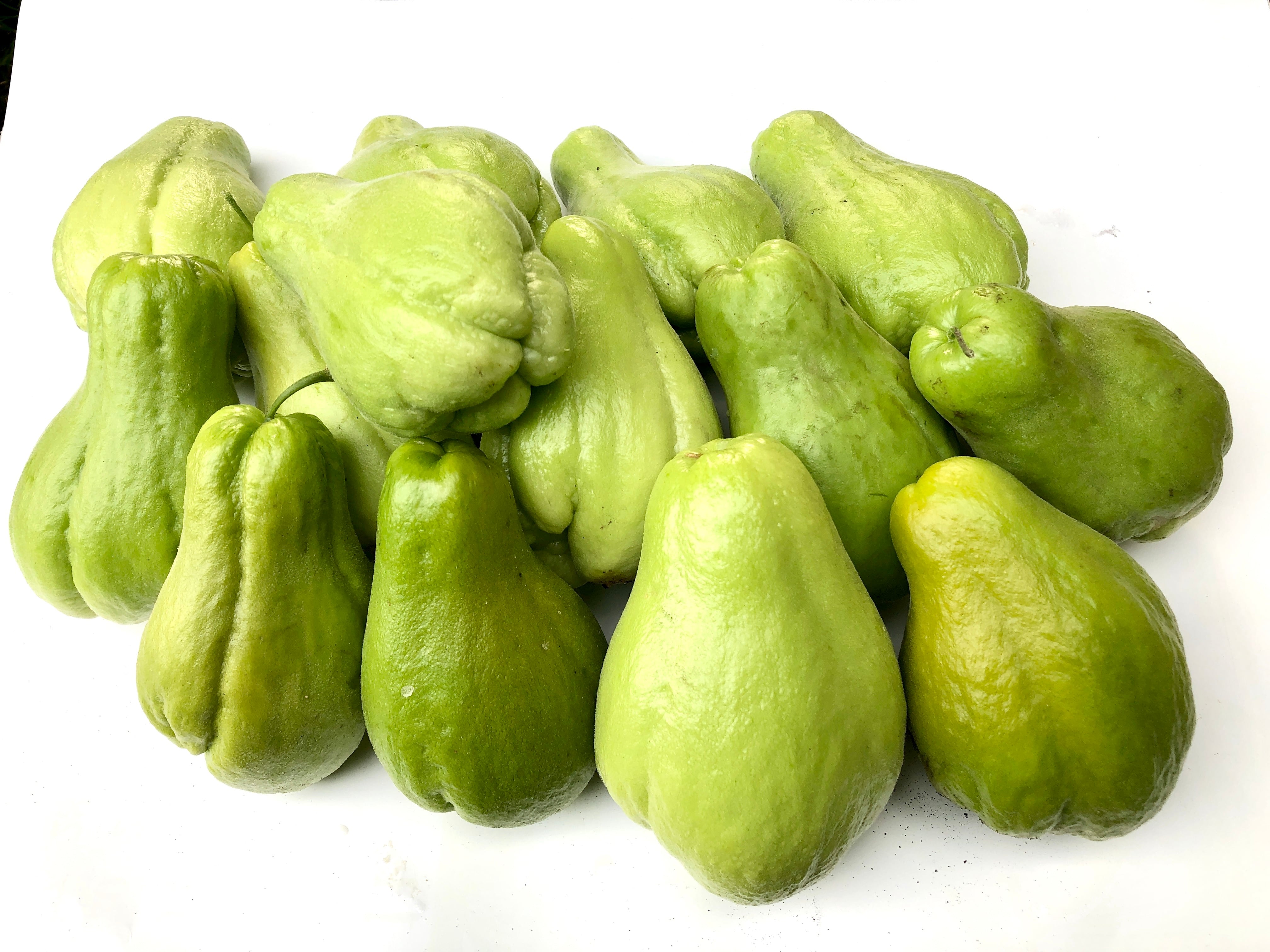 無農薬 はやとうり ハヤトウリ 約20kg茨城産 無農薬 はやとうり ハヤトウリ 約20kg茨城産