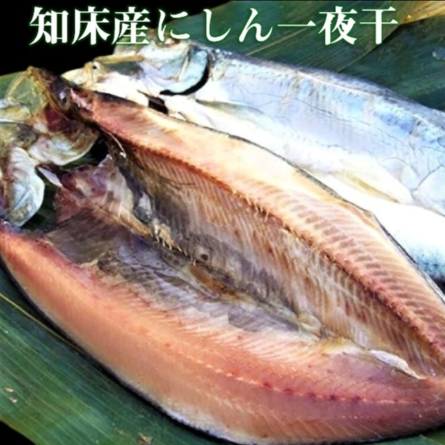 にしん一夜干し 大230g～250g  1枚真空 パック 低温長時間つるし干し 純粋知床産