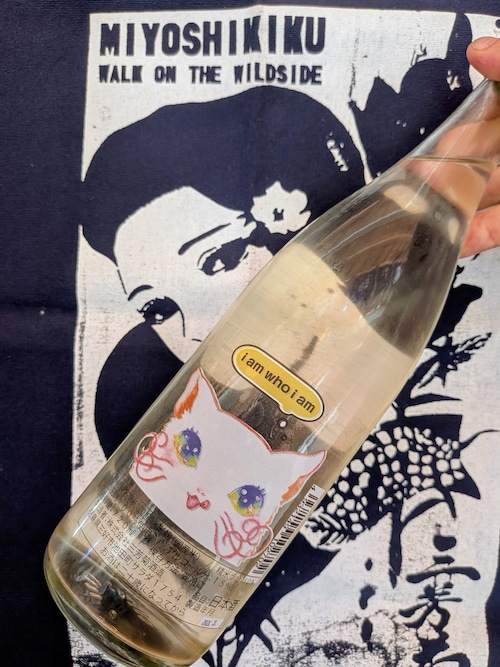 令和7BYしぼりたて!徳島県【三芳菊酒造】“ワイルドサイドを歩け” ‼︎『三芳菊 キットカット 純米吟醸 無濾過生原酒』