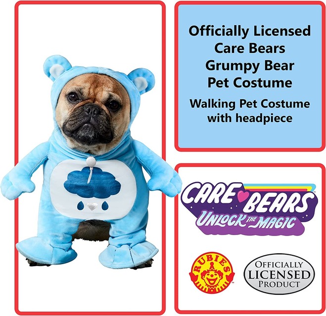 CloudCo Entertainment Licensed Care Bears Grumpy Bear Costume | STRANGELY  STRANGE MARKET