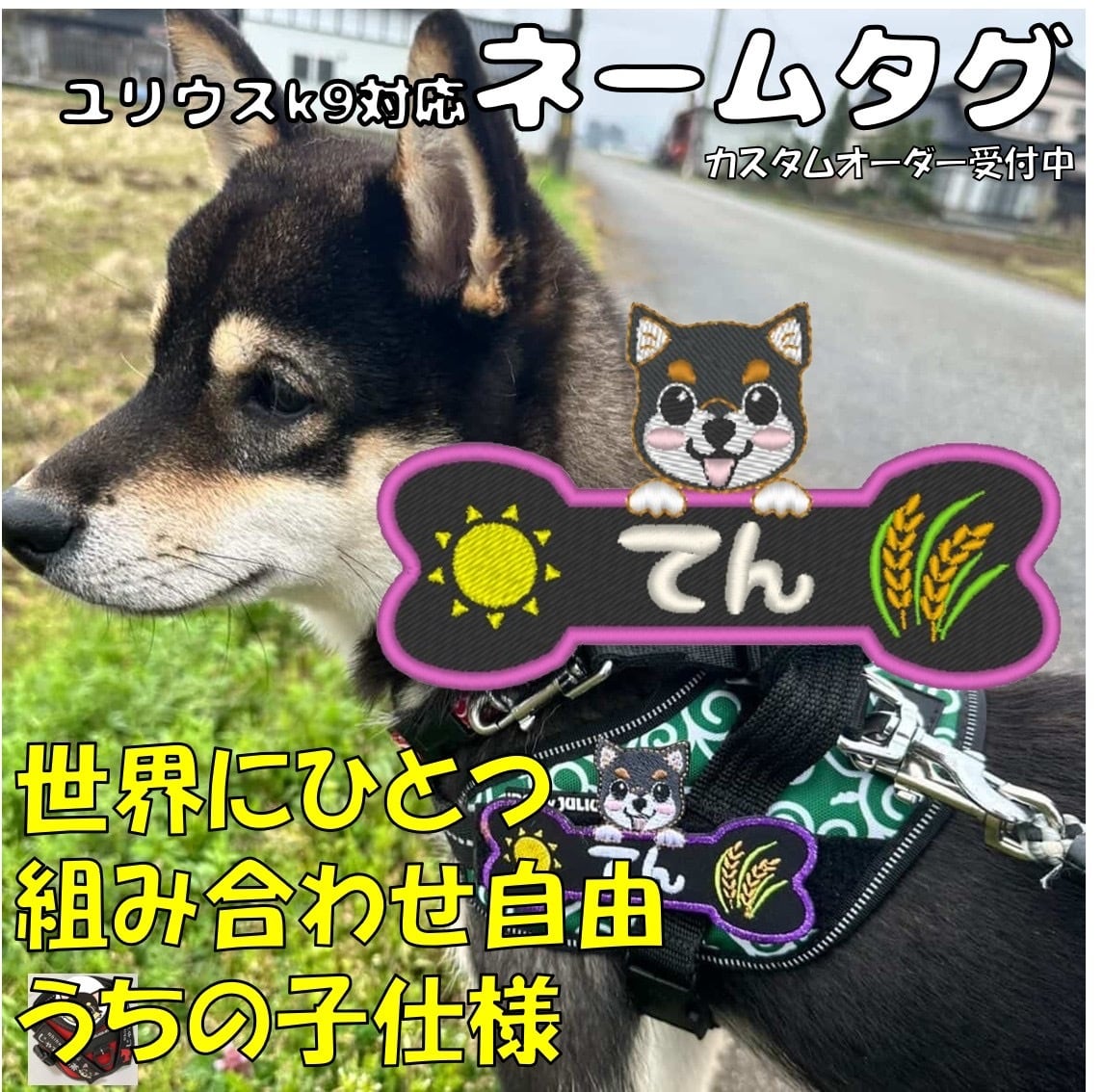 NO 骨形 ユリウスK9 Julius-K9ネームタグ カスタムオーダー うちの子