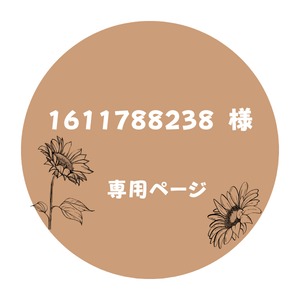 1611788238 専用　羊毛フェルト 19点