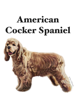 gray original Dog face &breed printed S/S TEE［American Cocker Spaniel］