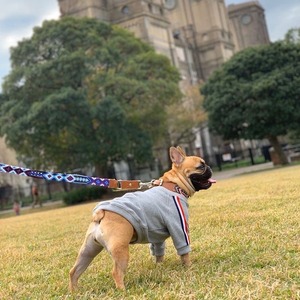 MEXICAN WOVEN LEASH