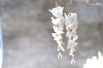 白い藤の花のピアス／イヤリング