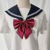 [SHUCLASS] スクールリボン 女子 制服リボン ボウタイ 蝶ネクタイ 蝶結び 調節可能 無地 学生服 赤色 中学生 高校生 せいふく 女子制服小物 多色選択でき (U213)
