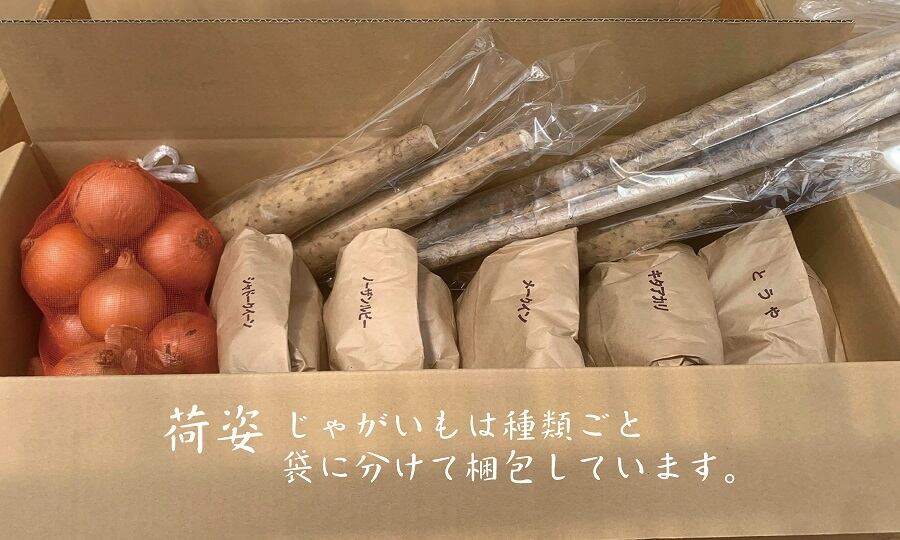 森田農園《十勝野菜10kgセット》送料無料　とかちdeグーマルシェ