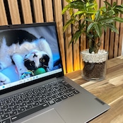 \ 公式ショップ限定価格❣️/ 準美品《2024年モデル》Lenovo IdeaPad Ryzen5 メモリ8GB SSD256GB フルHD ノートパソコン 安心サポート&3ヶ月保証付き