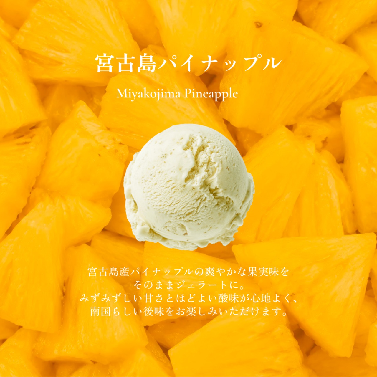 スタンダードジェラート（8個セット） - 11