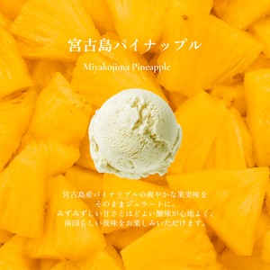 スタンダードジェラート（8個セット）