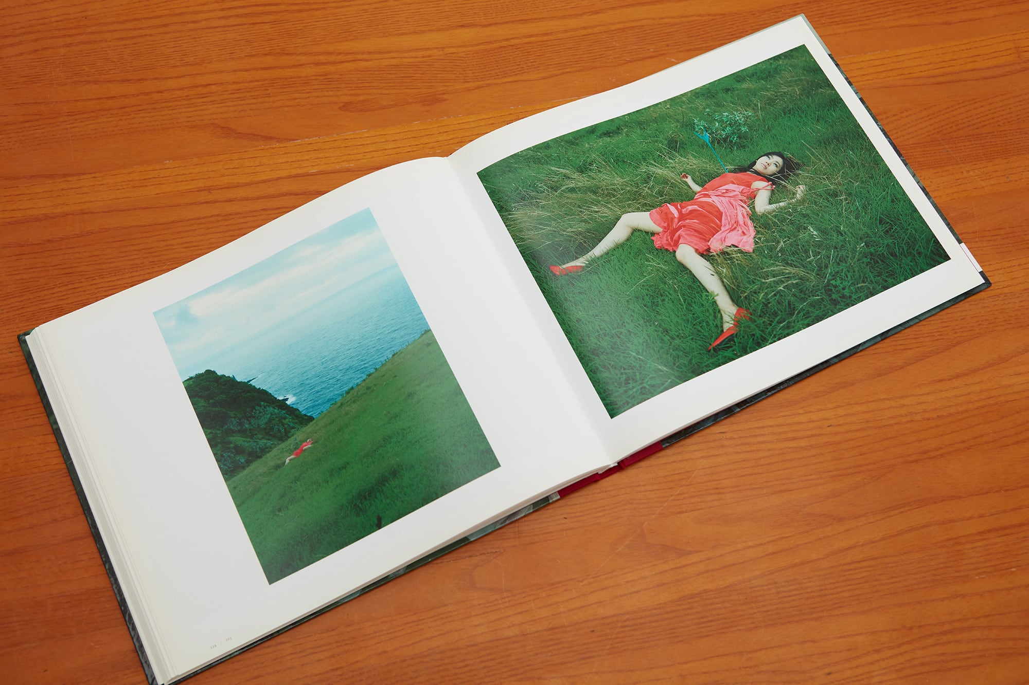 Izima Kaoru, Landscapes With a Corpse(SIGN BOOK / VINTAGE Izima Kaoru, Landscapes With a Corpse(SIGN BOOK / VINTAGE