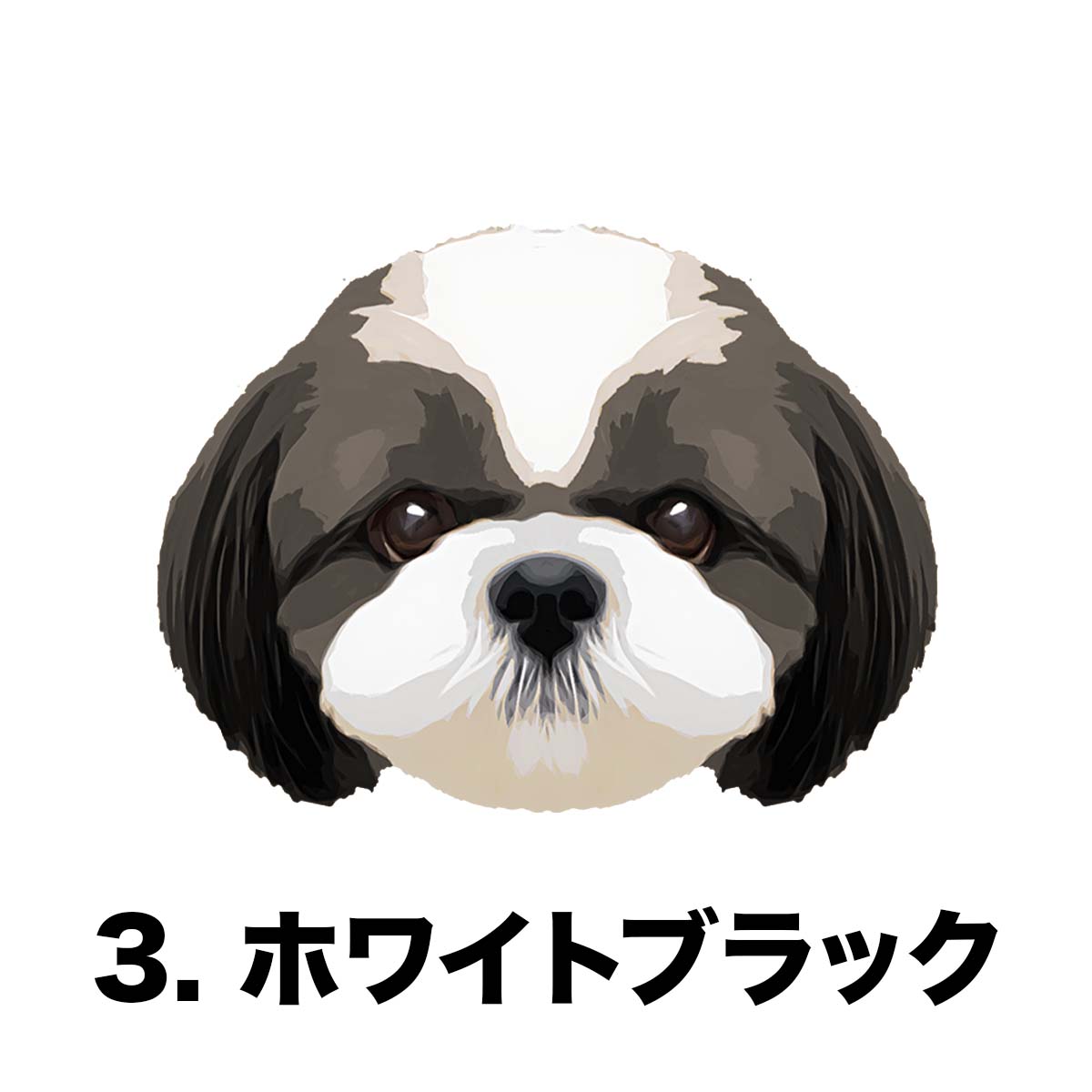 シーズー 毛色3色 】 タオルハンカチ ピンク＆ブルー2枚セット