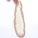 Blessed White - アゲートヒーリングチャイム / Agate Sun Catcher Wind Chime 322