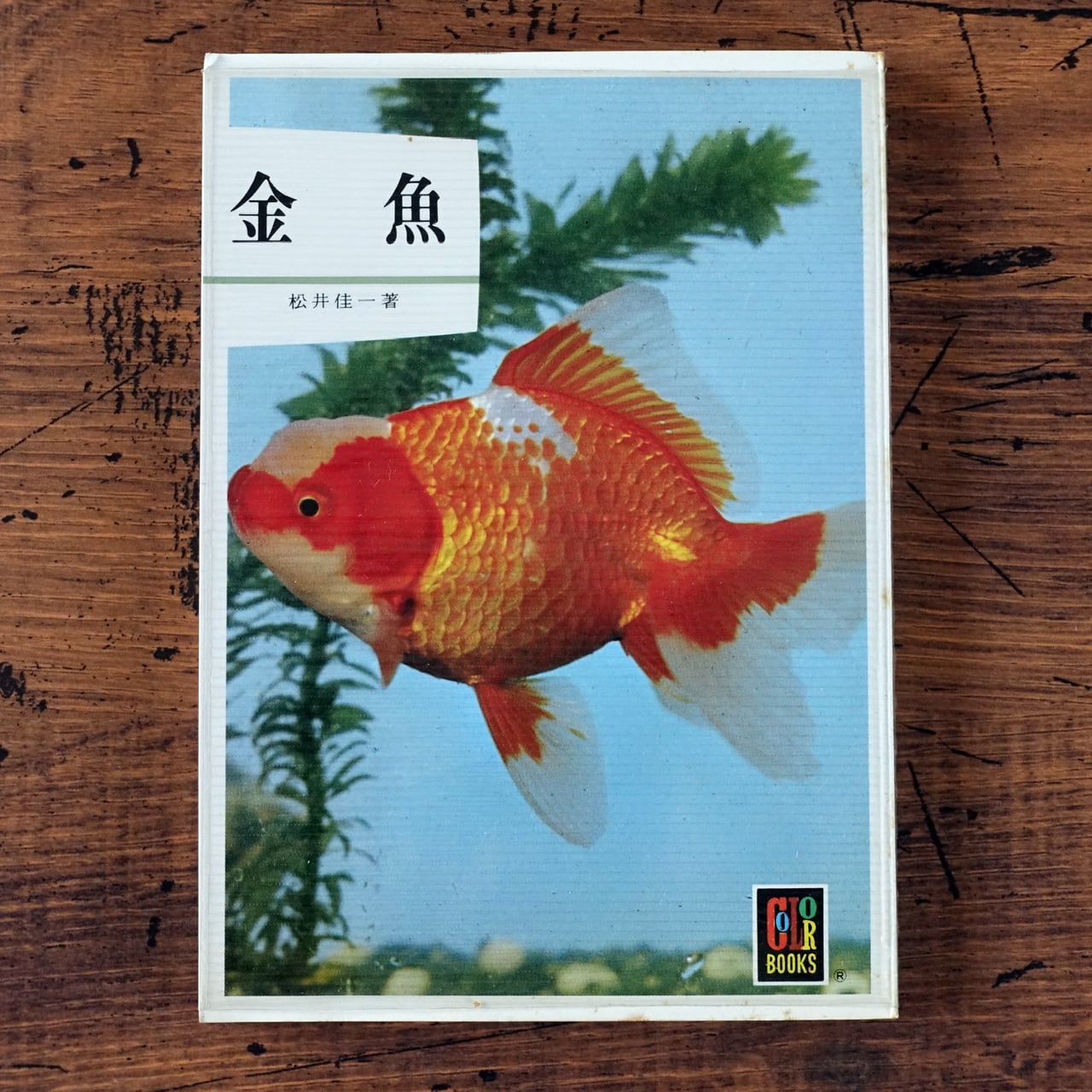 松井佳一 金魚(カラーブックス34) | タイムカプセル
