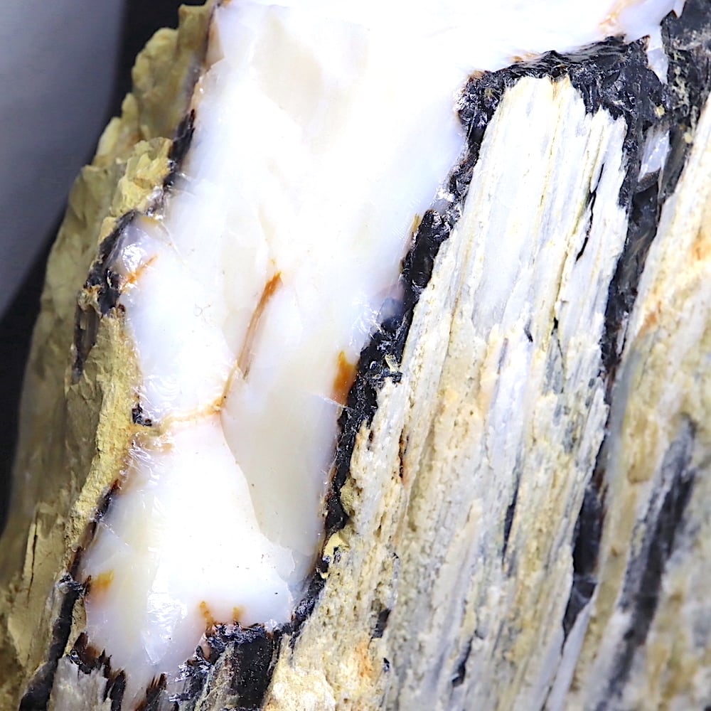 お客様専用】超特大！オパール化！珪化木 ペトリファイドウッド 3300g