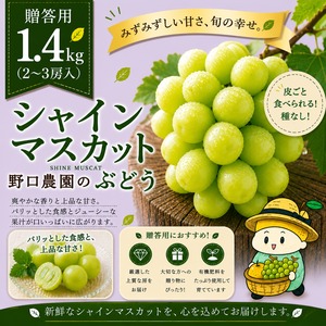 ⬛︎贈答用 シャインマスカット1.4kg（2~3房入）☆