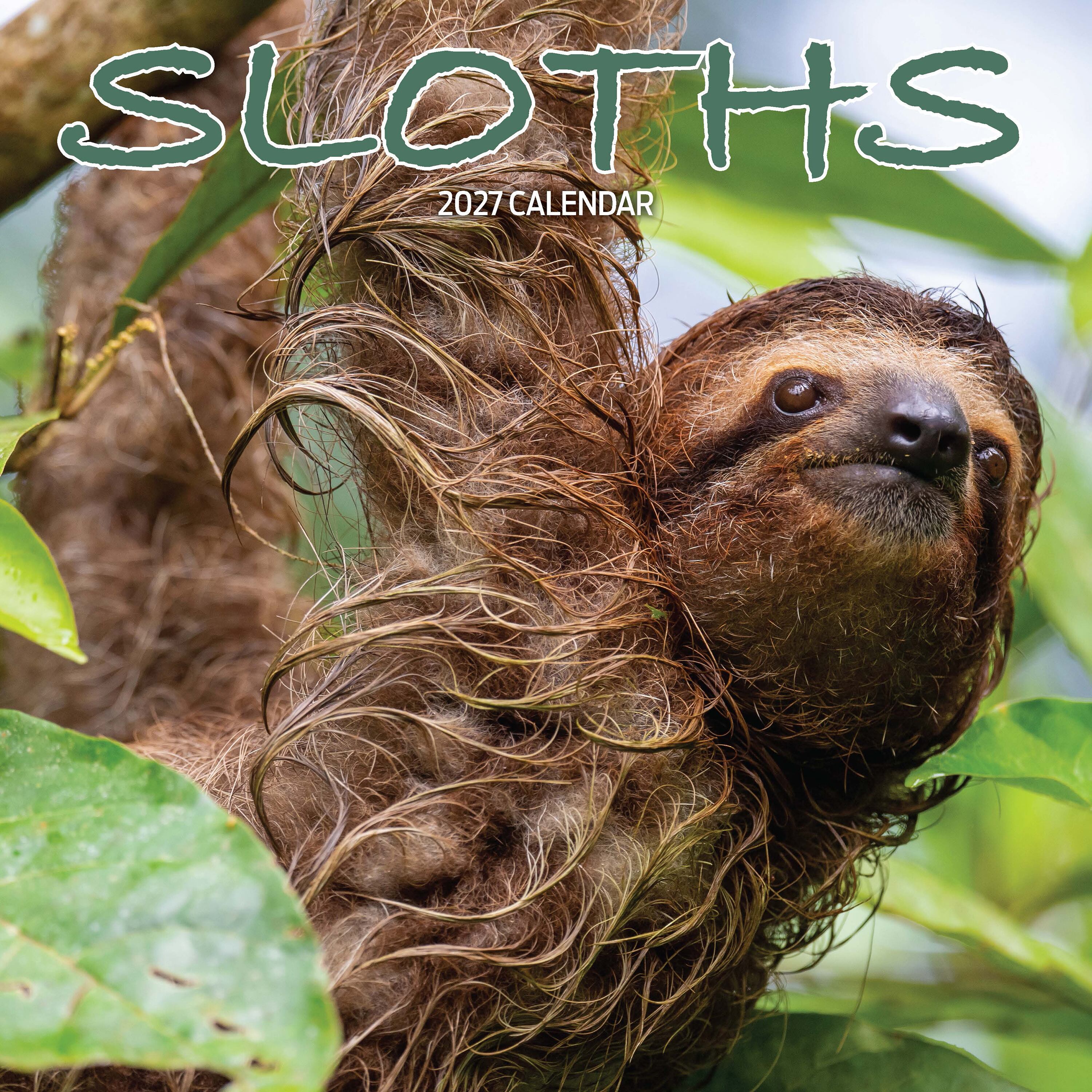 【2027年版】英国製カレンダー【Sloths】 2027年版