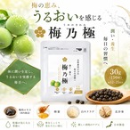 梅乃極