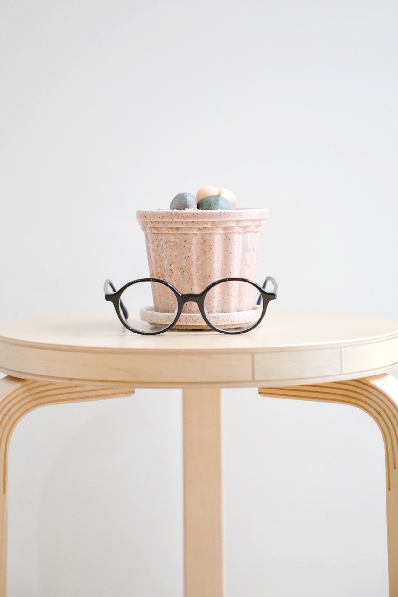 【S】プレイオスティロス 令和の桃太郎/Pleiospilos