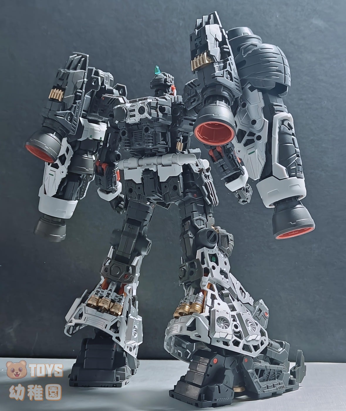 SOLOMON/ソロモン】1/100 サイサリス PHYSALIS 試作2号機 再販 組立式